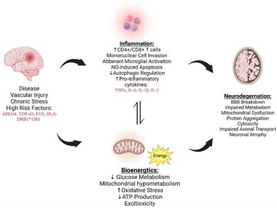 Analysis of shared underlying mechanism in neurodegenerative disease